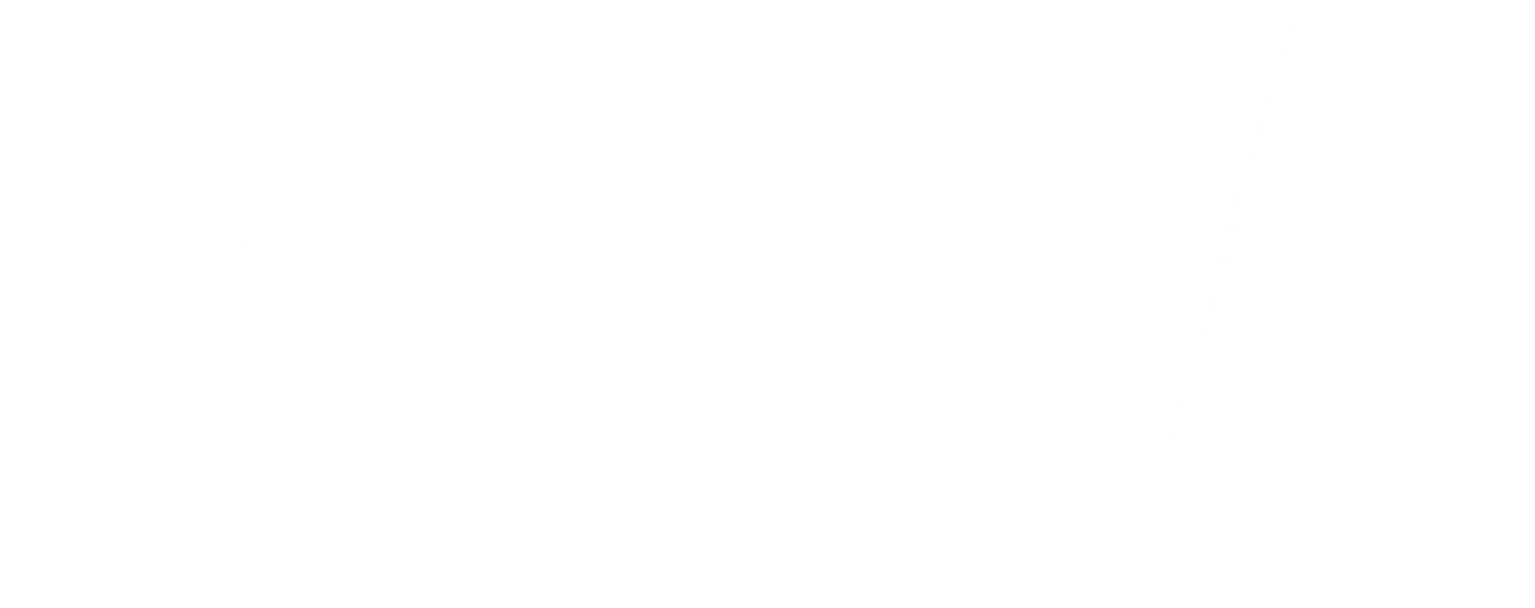 LEM